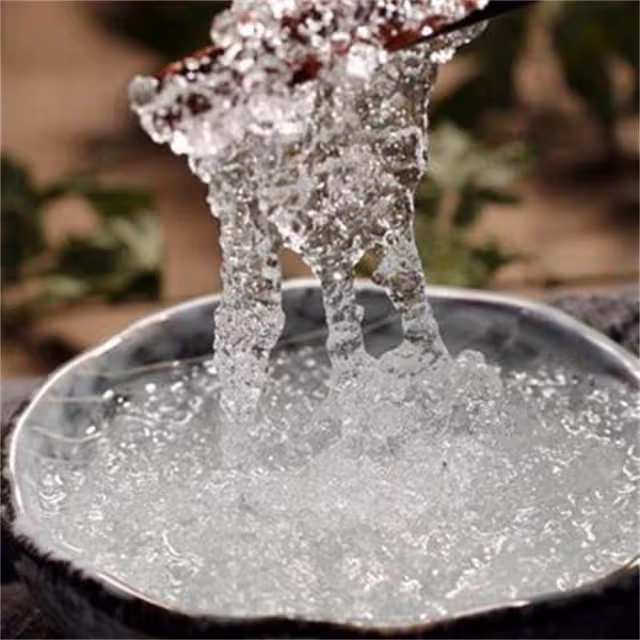 雪燕是什麼東西？雪燕為什麼叫植物燕窩？雪燕的正確吃法