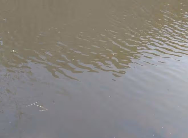 故事：一天深夜，二流子去魚塘偷魚，聽到窩棚里傳出女人的呼救聲