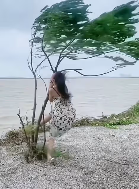 海邊刮大風，身材瘦小的女子擔心自己被大風颳走，緊抱小樹不撒手