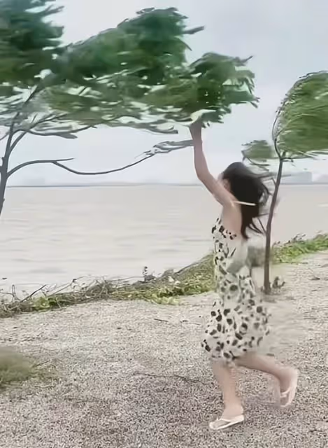 海邊刮大風，身材瘦小的女子擔心自己被大風颳走，緊抱小樹不撒手
