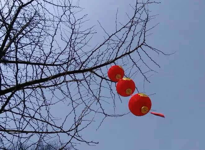 民間故事：男子借宿寡婦家，深夜聽到門響，砸破窗戶逃過一劫