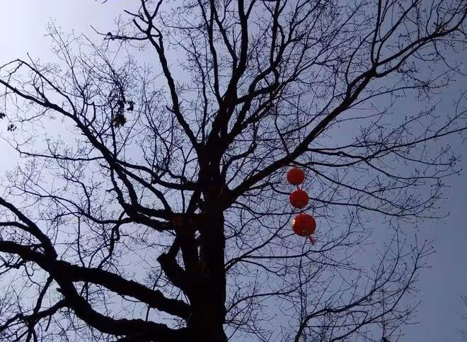 民間故事：男子借宿寡婦家，深夜聽到門響，砸破窗戶逃過一劫
