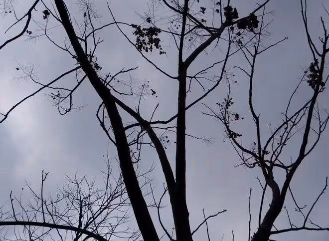 故事：獵人路過塌方的山洞，聽到山洞裡有女人的呼救聲