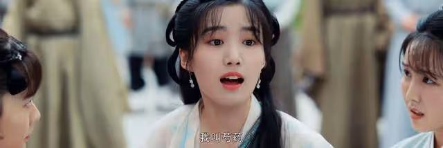 《惜花芷》看到芍藥被治癒，才知蕭王妃十多年從未善待她