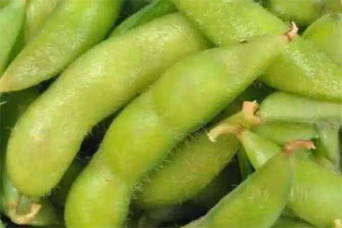 保存毛豆別焯水也別直接放冰箱,教你一招,放一年口感新鮮不會壞