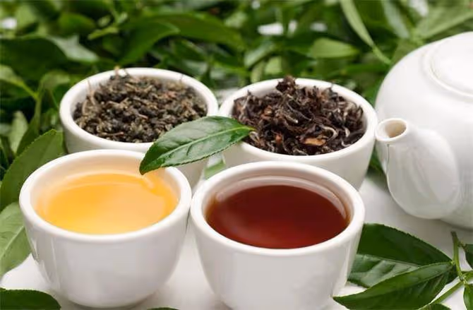 青茶有哪些品種?高深莫測的青茶,你知道多少?