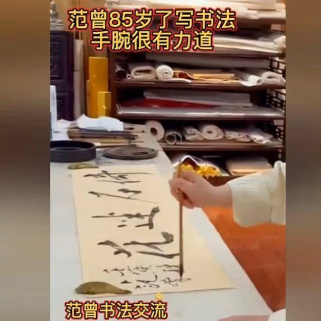 85歲書畫家范曾官宣四婚!兩人相差50歲,女方戴3萬項鍊身份被扒