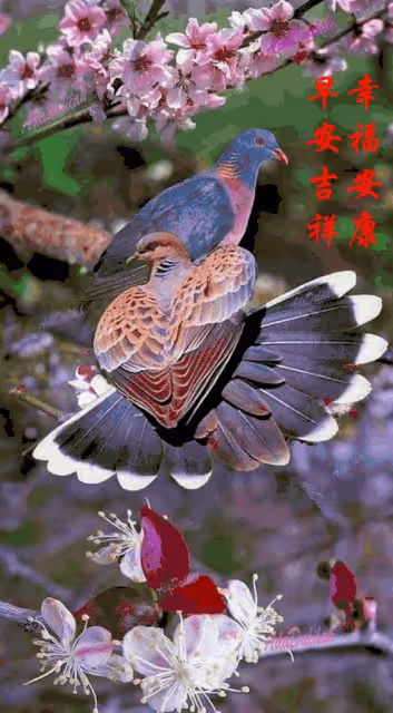 人算不如天算，12月天降喜，5生肖苦難已過，註定財亨通富得流油