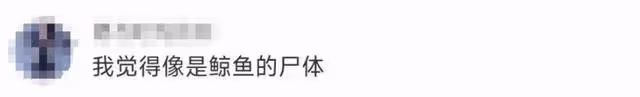不明生物屍體被衝上馬來海灘,官方正進行DNA鑑定
