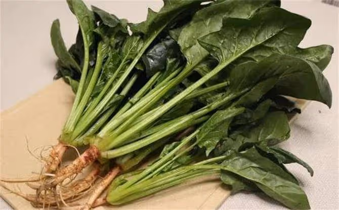 提醒:10種常見蔬菜,或是嘌呤的大本營,尿酸高的人,建議少吃