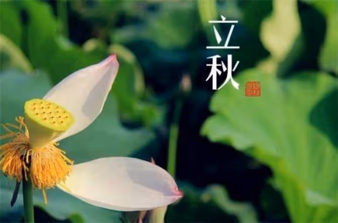 立秋之後,多吃7樣,少吃3瓜,輕鬆避開「秋老虎」,健康貼秋膘