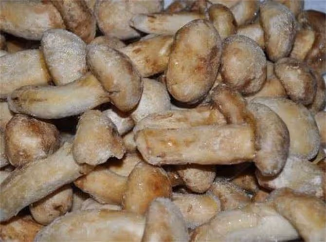 松茸直接凍還是洗了再凍?松茸的正確保鮮方法和冷凍方法