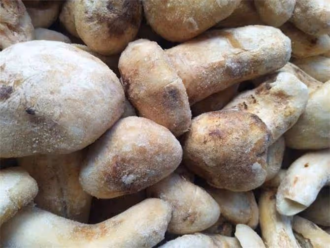 松茸直接凍還是洗了再凍?松茸的正確保鮮方法和冷凍方法