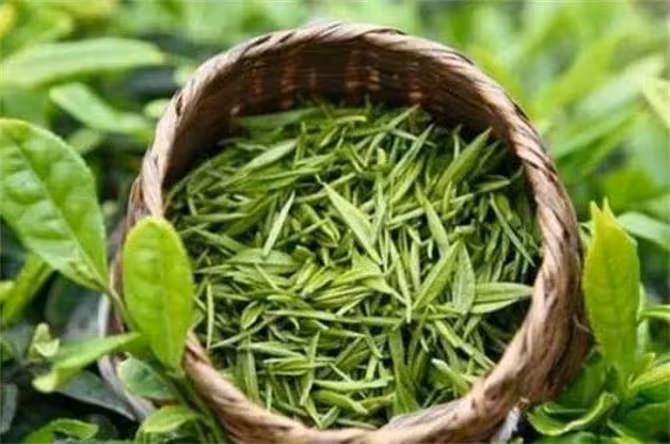中國綠茶哪家強?盤點中國四大綠茶品種,到底哪一種最好喝?
