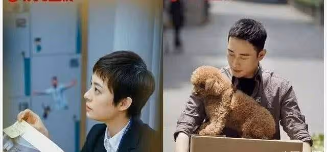 《安家》朱閃閃被規則,編劇六六背鍋:沒腦子,當職場女性是弱智?