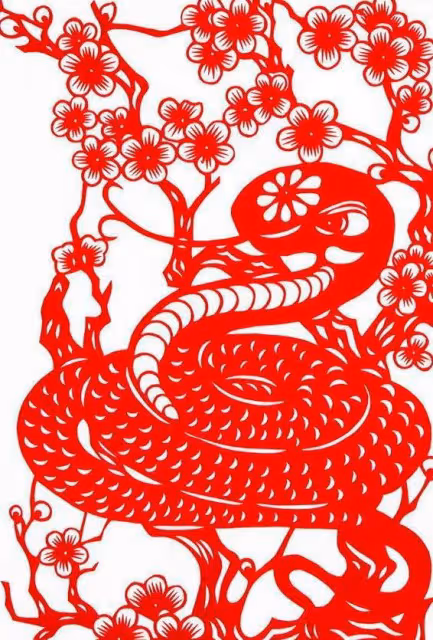 生肖蛇的人真的很厲害，這3個特徵只有生肖蛇的人才有，你認同嗎