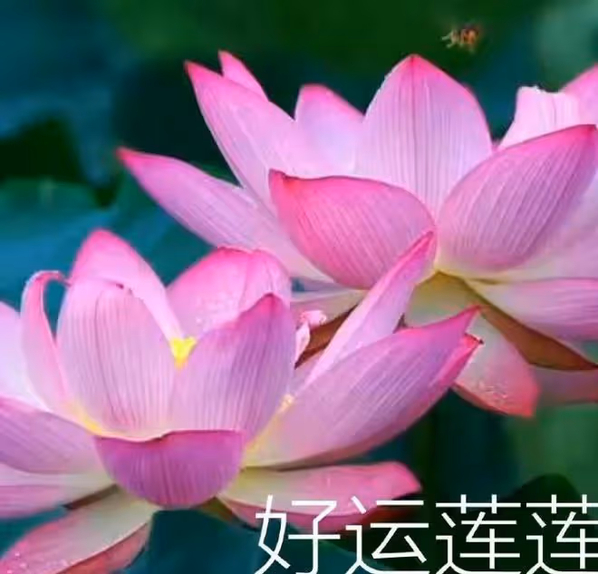 父母這5個生日尾數, 家門旺盛, 富過三代, 一輩子不愁沒錢花!