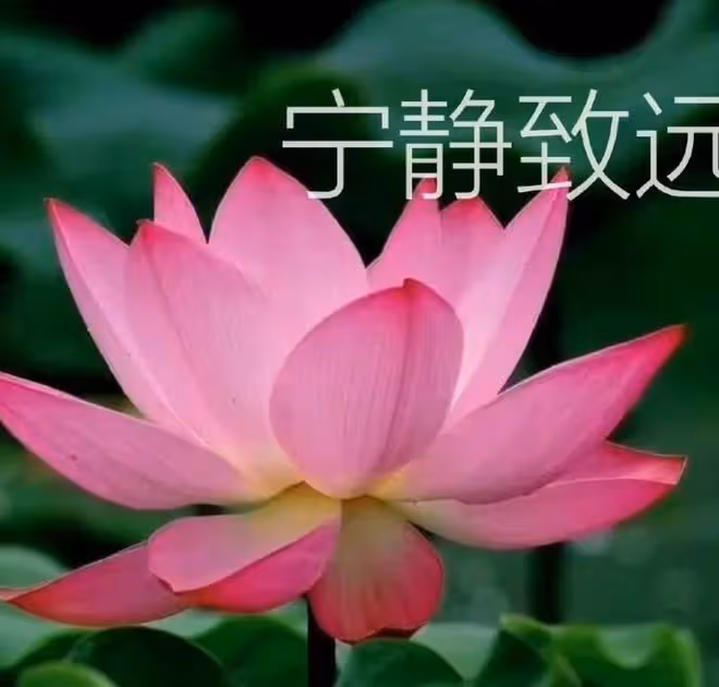 父母這5個生日尾數, 家門旺盛, 富過三代, 一輩子不愁沒錢花!