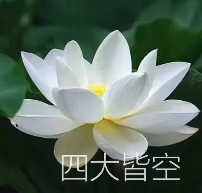 父母這5個生日尾數, 家門旺盛, 富過三代, 一輩子不愁沒錢花!