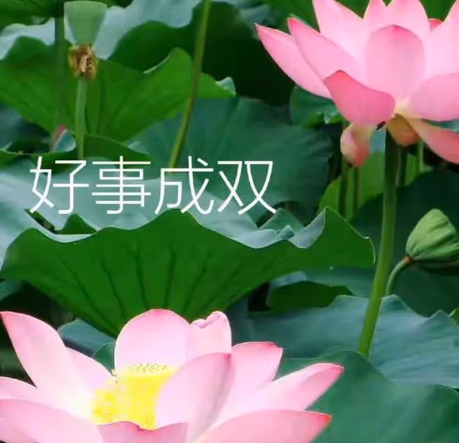 父母這5個生日尾數, 家門旺盛, 富過三代, 一輩子不愁沒錢花!