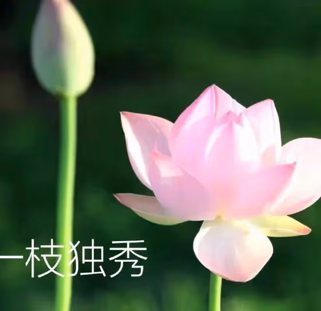 父母這5個生日尾數, 家門旺盛, 富過三代, 一輩子不愁沒錢花!