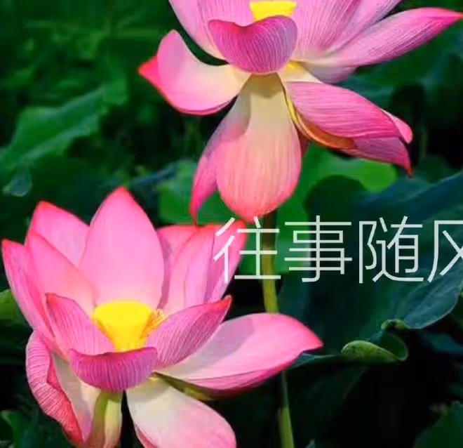 父母這5個生日尾數, 家門旺盛, 富過三代, 一輩子不愁沒錢花!