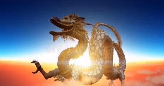 屬龍的和什麼屬相最配