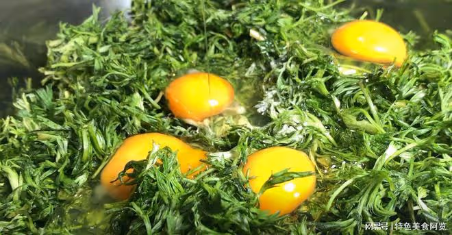 4月少吃肉多吃它,中老年一周3次,清熱解毒、抗瘧疾,早吃早受益