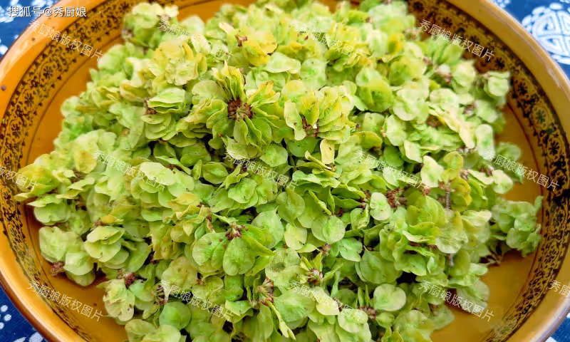 薺菜香椿靠邊站,抓緊吃「4月第一鮮」,鮮嫩營養,錯過再等1年