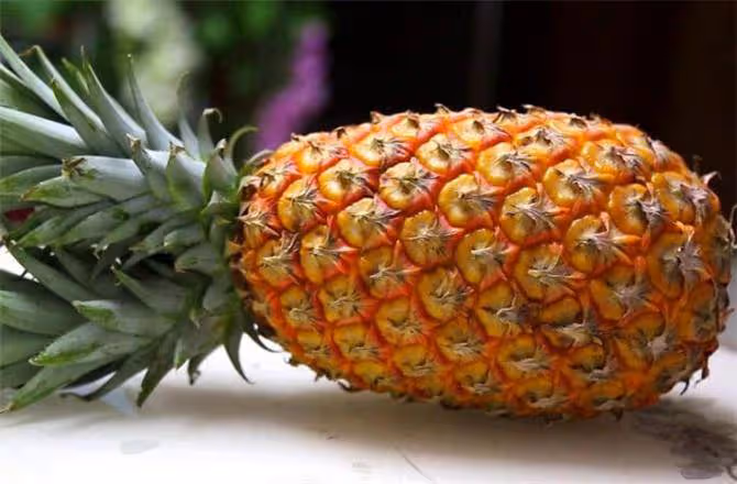 菠蘿和鳳梨，究竟是不是同一種水果？產地人給你細緻的答案