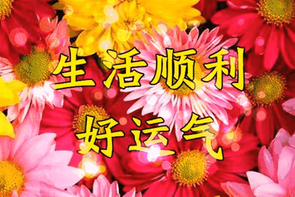 運從現在開始能旺到年底，擁有大吉大利的福氣的四大生肖