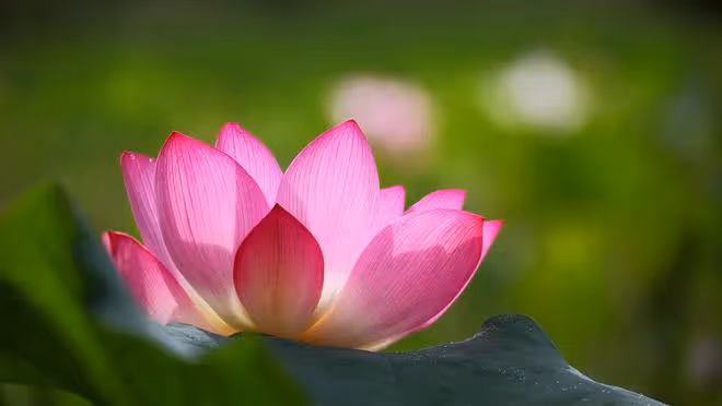 59歲的沈阿姨再婚3年後散夥，她說：我不扶貧，底線必須堅持
