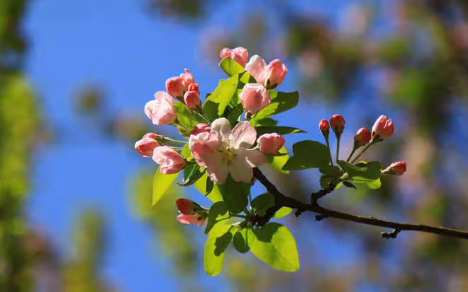老伴要AA制後我轉身帶父母出去旅遊，半個月後，他後悔的求我回來