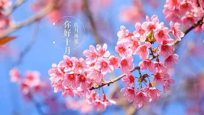 再婚的夫妻為何很難過得幸福？沒有做到一點，分寸感很重要