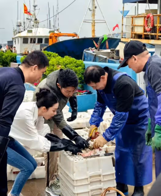 撒貝寧張馨予意外同框,娛樂圈的奇妙緣分引深思