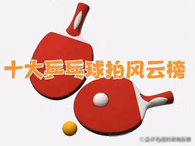 十大桌球拍風雲榜解析,拍中奧秘,愛好者有道