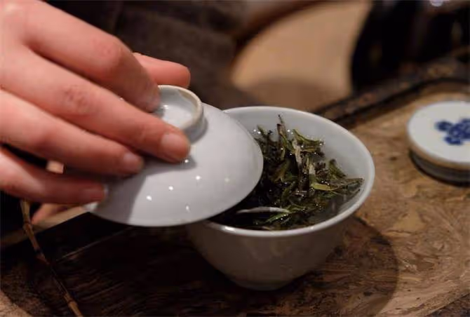沖泡白茶有什麼實用方法?5個沖泡技巧讓你輕鬆泡好白茶