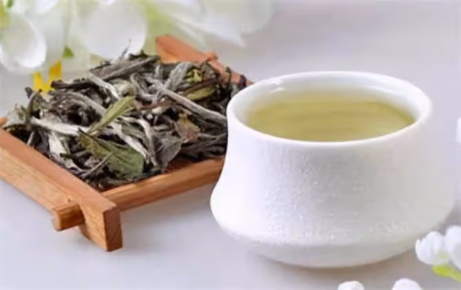 沖泡白茶有什麼實用方法?5個沖泡技巧讓你輕鬆泡好白茶