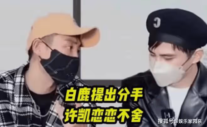 許凱和白鹿在一起過嗎?多次合作還是一家公司關係親昵