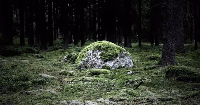 恭喜4個星座，2024年，幸福連連，好運常伴，默默奮鬥，志得意滿