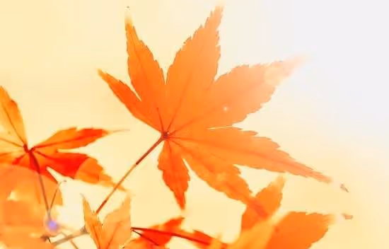 得知我賣老房，大兒連夜從外地趕回分錢，我一番話，好像有些羞愧