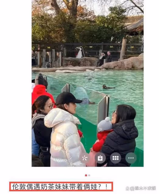 章澤天自曝有帕金森基因,經常手抖,穿搭老氣橫秋,發言通篇語病