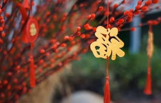 雙魚座:喜鵲嘰嘰來報喜,你要撞大運!好事扎堆,家庭興旺!