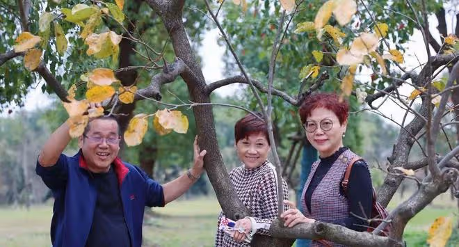 分床10年,終於能離婚了,前妻的朋友圈,男人後悔不已