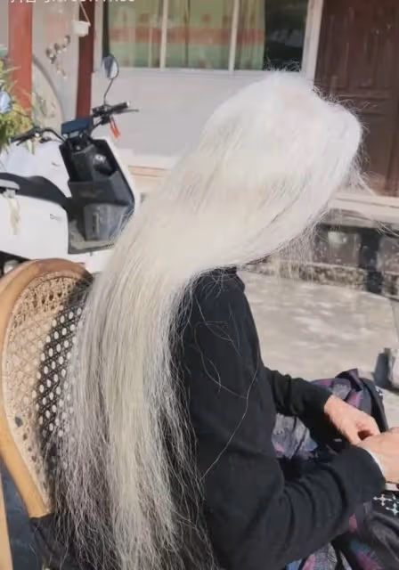 女子曬83歲姥姥，一頭銀髮背影宛如少女，網友：美人在骨不在皮