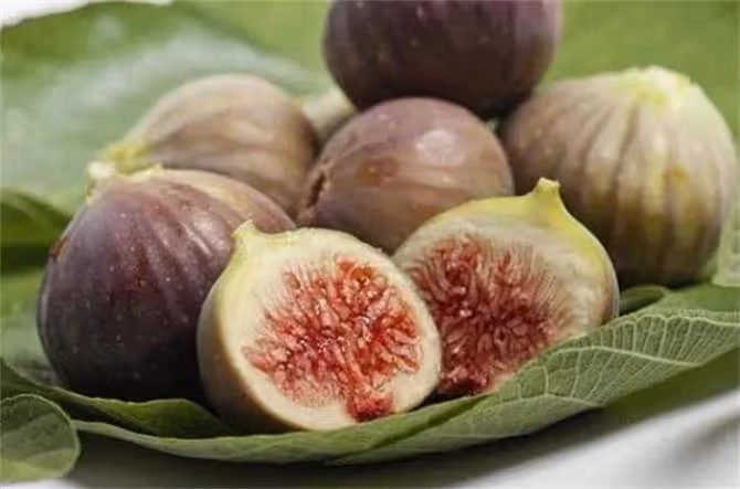 無花果是涼性還是熱性?哪六種人不宜食用無花果?
