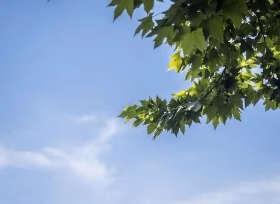 水瓶座:貴人降臨,你命中最大的助力即將到來,抓住機會!