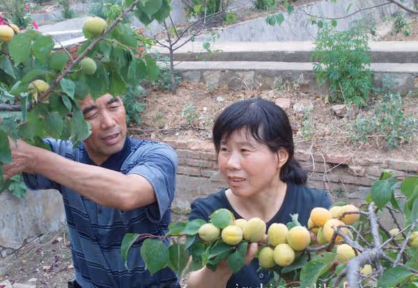 47年前,父母無奈收養了一個男娃,沒想到改變了我們一家人的命運