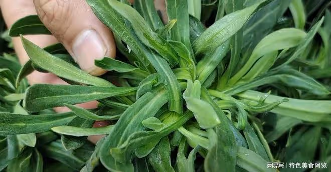 日本人眼中的「長壽菜」,中老年一周3次,腰不酸,膝蓋也不疼了