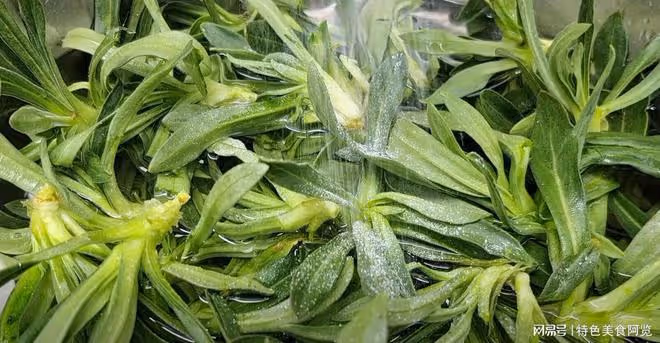 日本人眼中的「長壽菜」,中老年一周3次,腰不酸,膝蓋也不疼了
